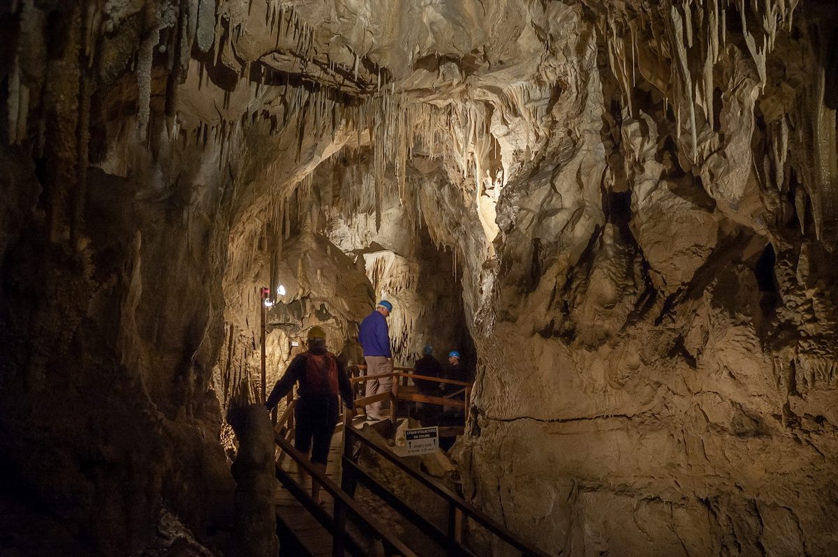 Ngarua Caves photo 1