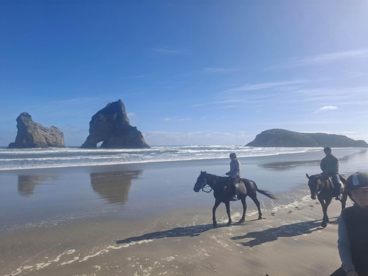 North West Horse Treks photo 2