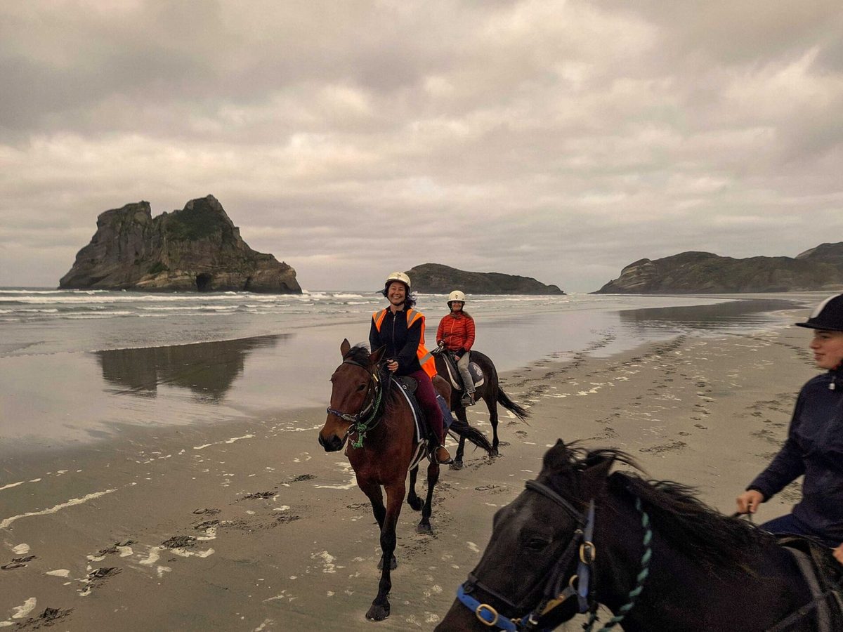 North West Horse Treks photo 3