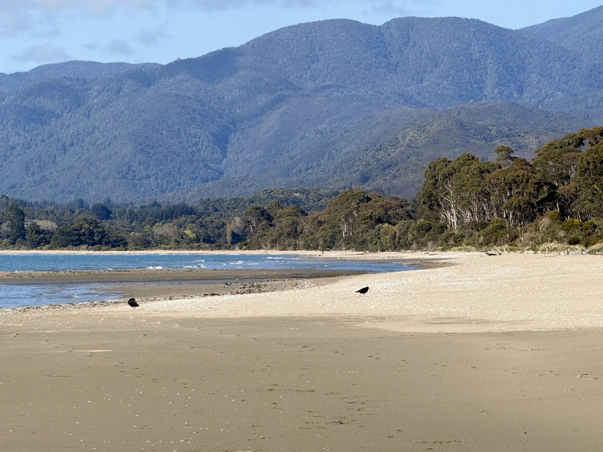 Pā Tōrea Beach Stay photo 3