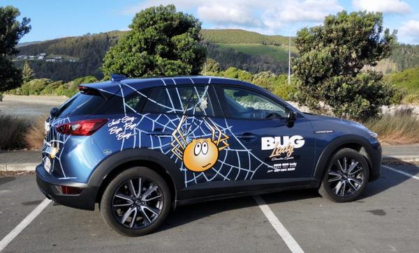 Pest Control Nelson // 18+ Years Experience | The Bug Lady