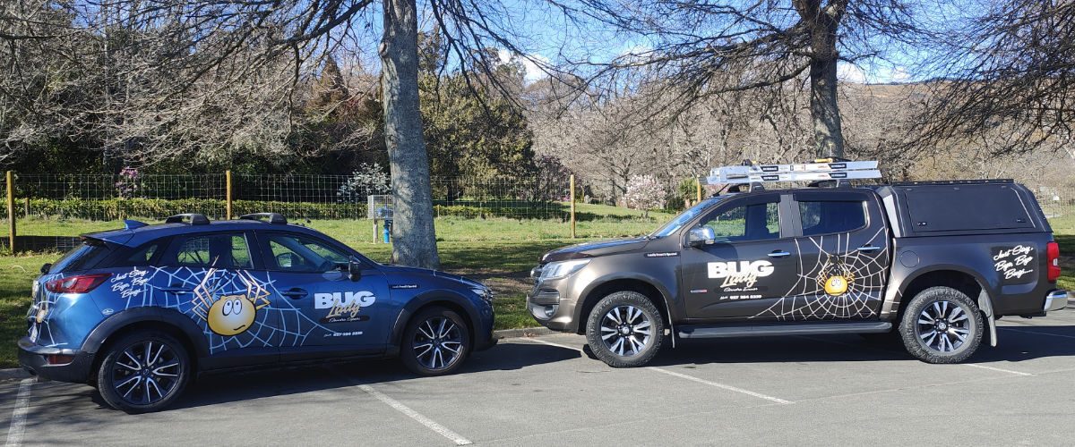Pest Control Nelson // 18+ Years Experience | The Bug Lady photo 2