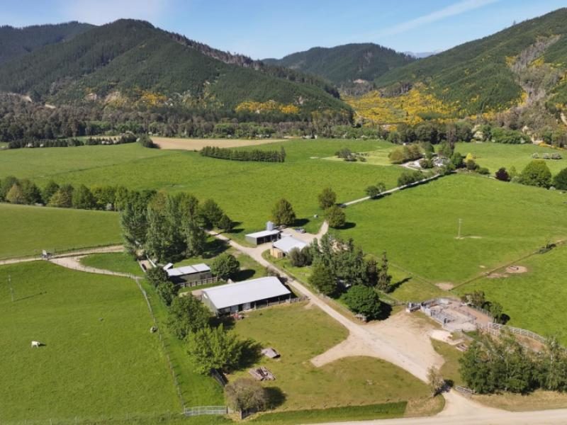 PGG Wrightson Real Estate Nelson photo 2