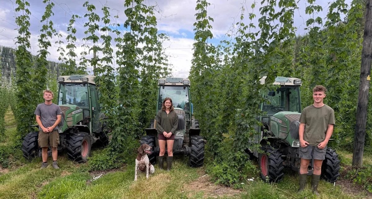 Pikimai Hops photo 1