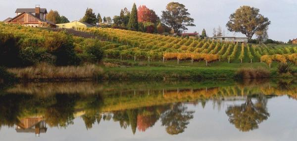 Pine Hill Lodge & Pine Hill Serenity Vineyard