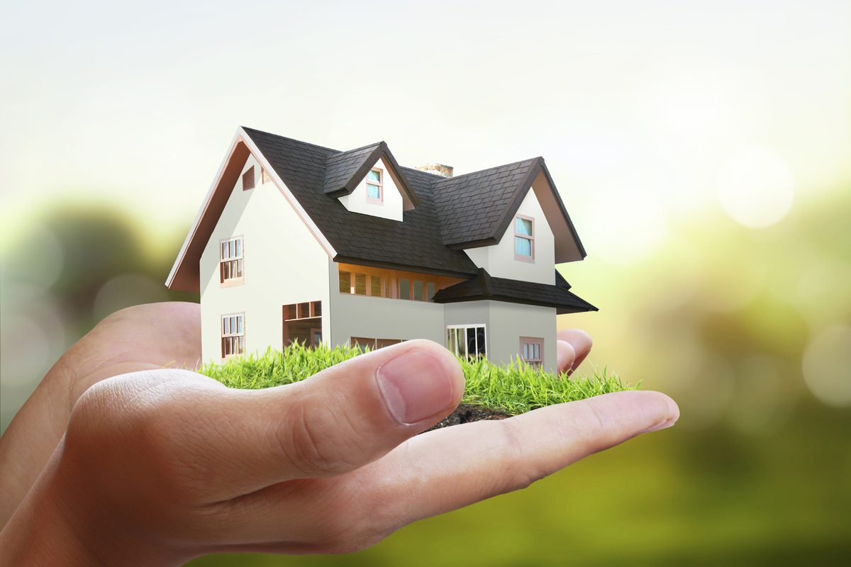 Propertyscouts Nelson photo 2