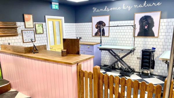 Richmond Dog Grooming