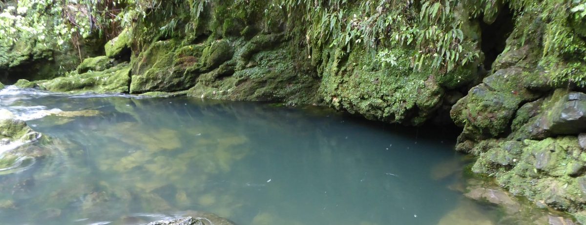 Riuwaka Resurgence photo 1