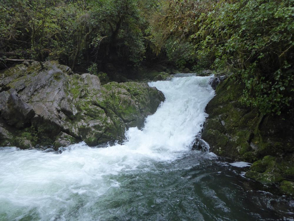 Riuwaka Resurgence photo 3