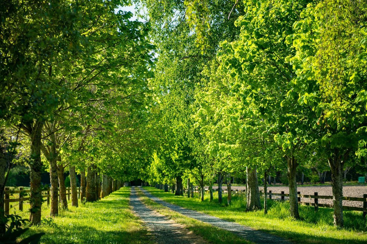 River Road Retreat photo 1