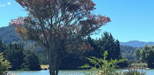 Riwaka Retreat Holiday Accommodation photo 3