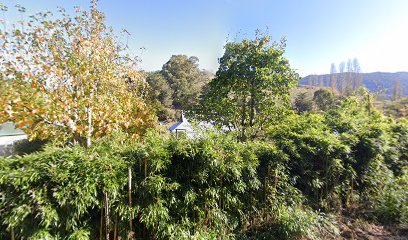 Riwaka river cottage photo 1