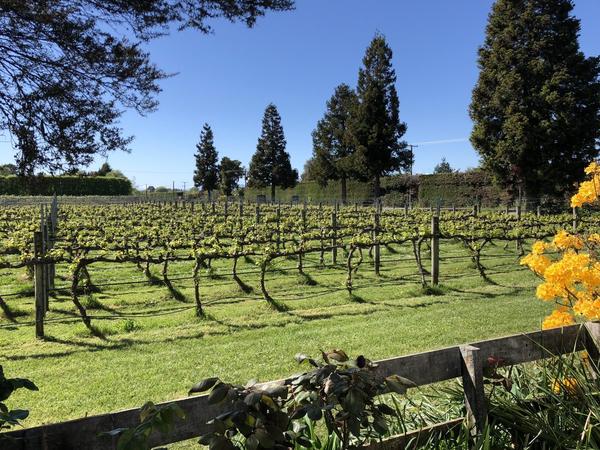 Riwaka River Estate