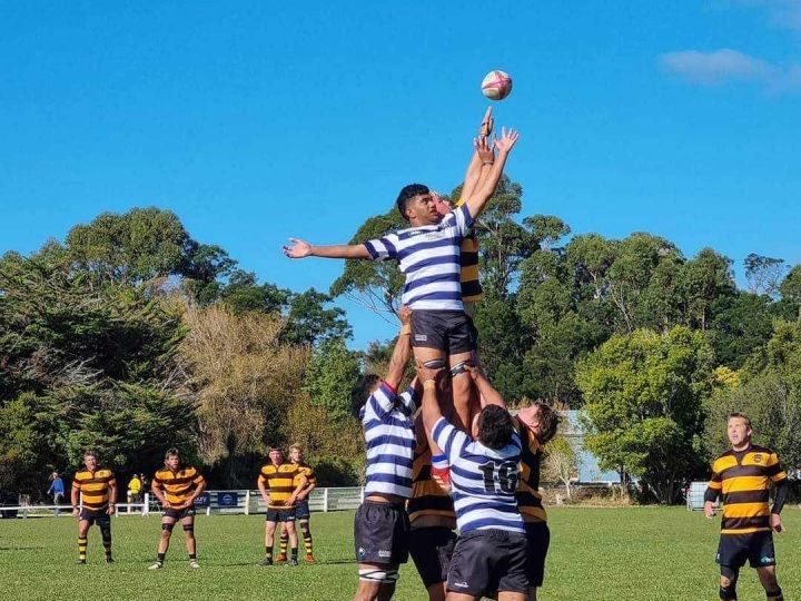 Riwaka Rugby Club photo 2