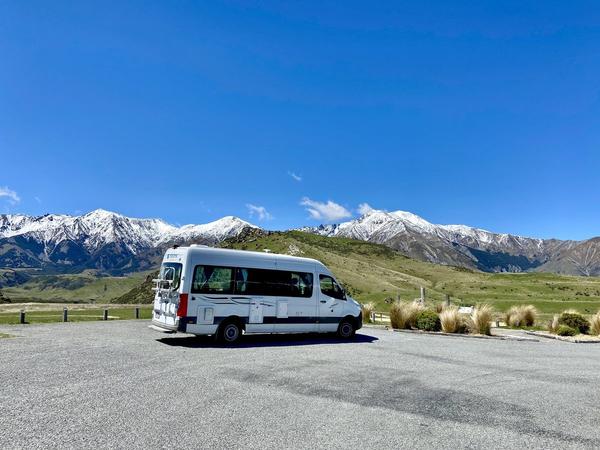 Roving Kiwi