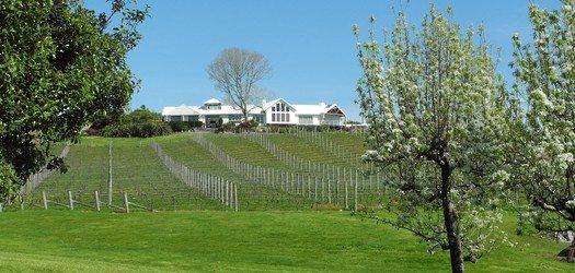 Ruby Bay Vineyard Lodge & Cottage