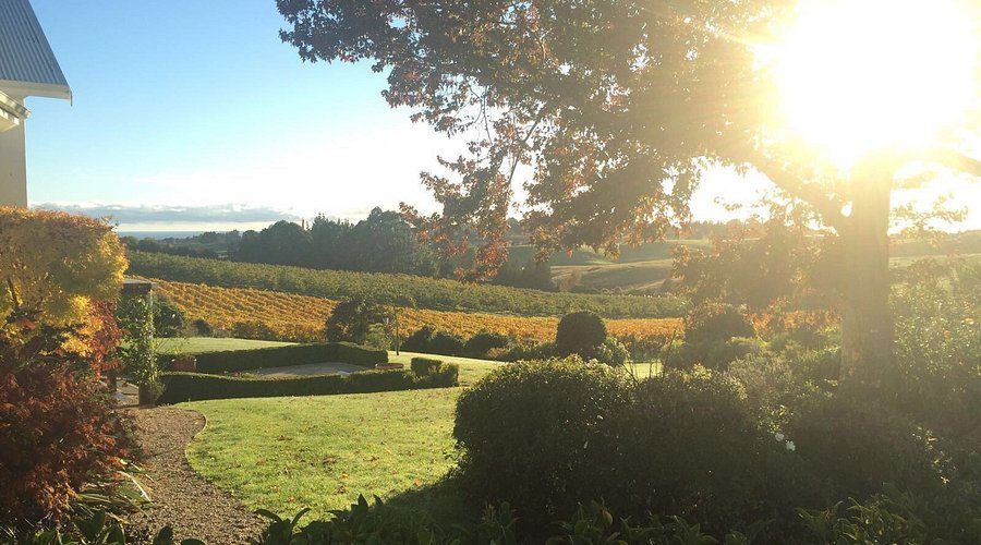 Ruby Bay Vineyard Lodge & Cottage photo 2