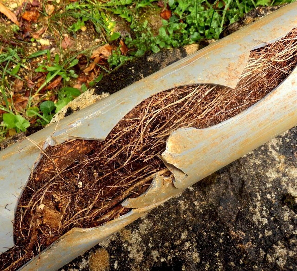 Seeka Plumbing Nelson | Richmond photo 2