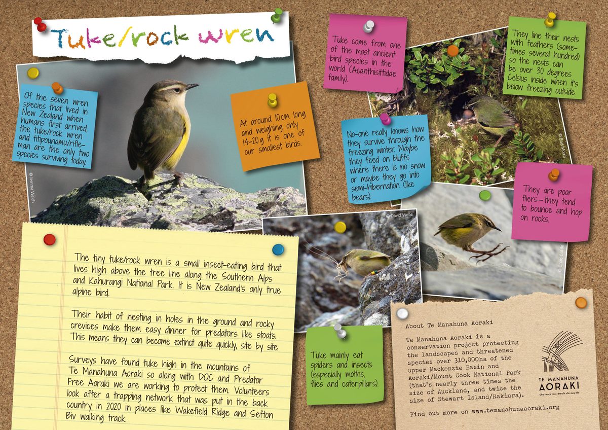 Skylark Design photo 2