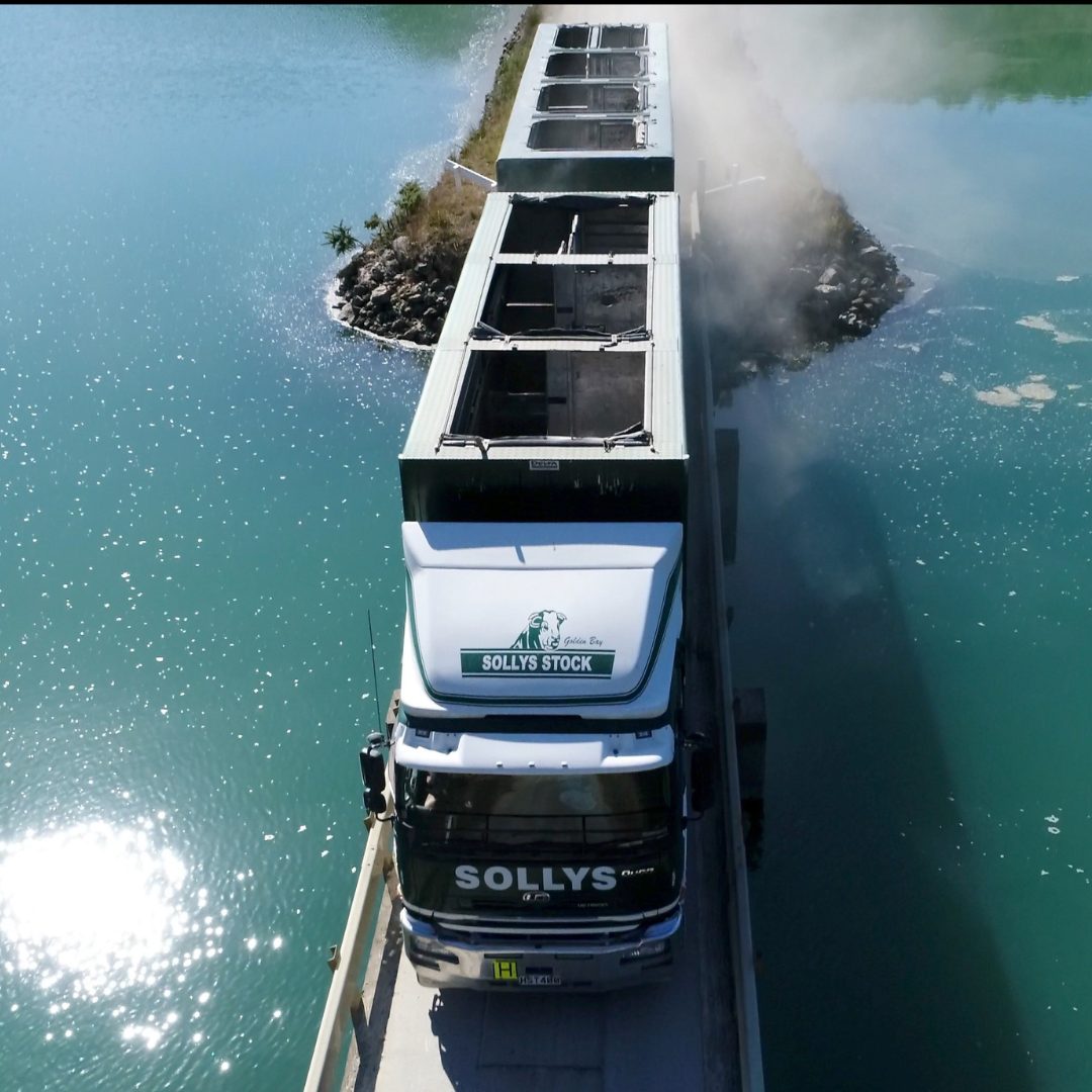 Sollys Freight & Contracting Golden Bay photo 2