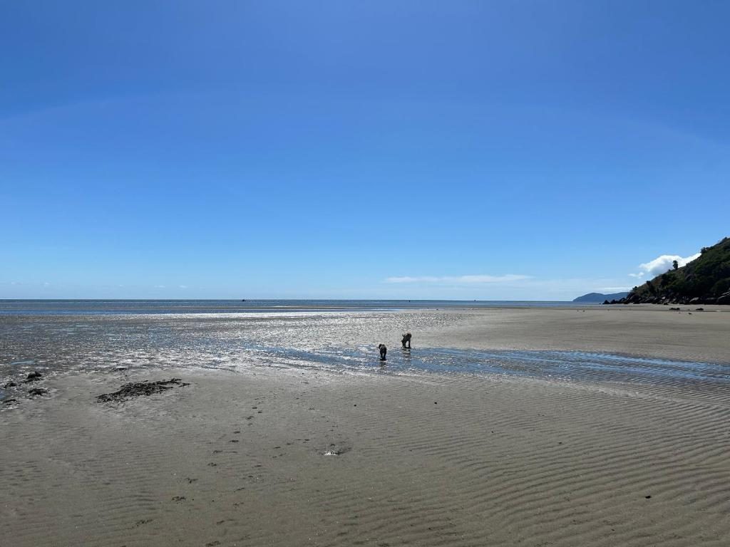 Summerspring Beachfront Accommodation photo 3