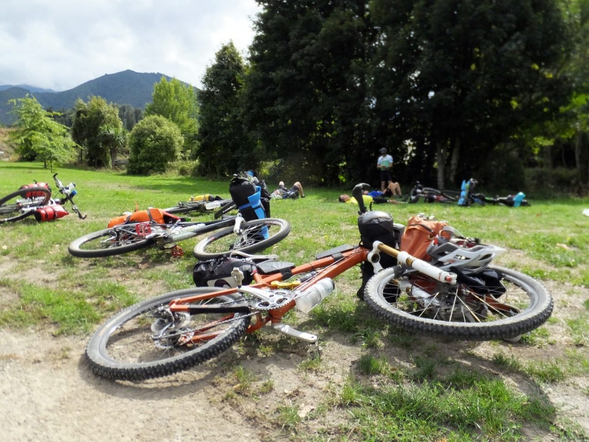 Tailored Travel New Zealand Custom Tours photo 1