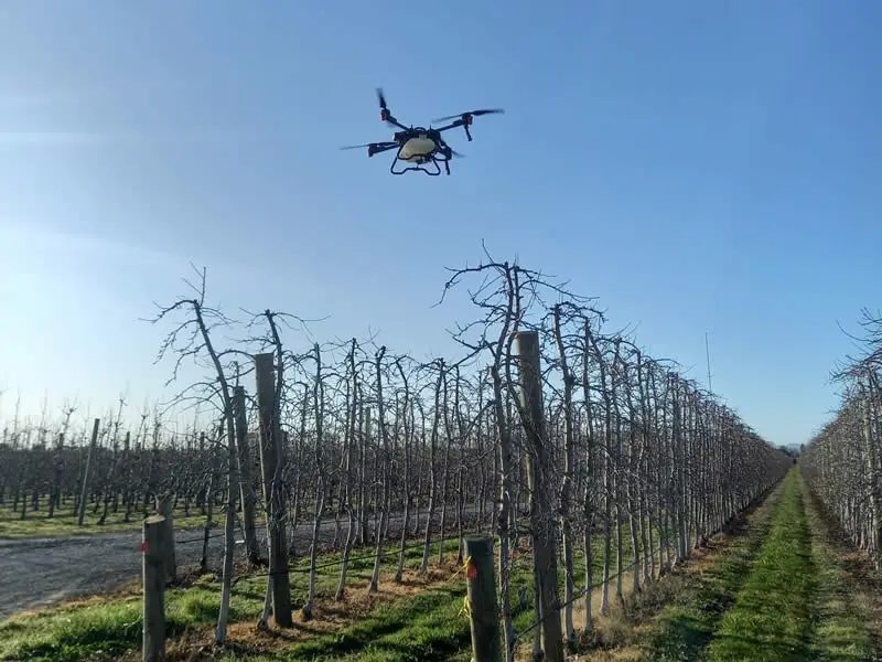 Tasman Drone Services photo 2