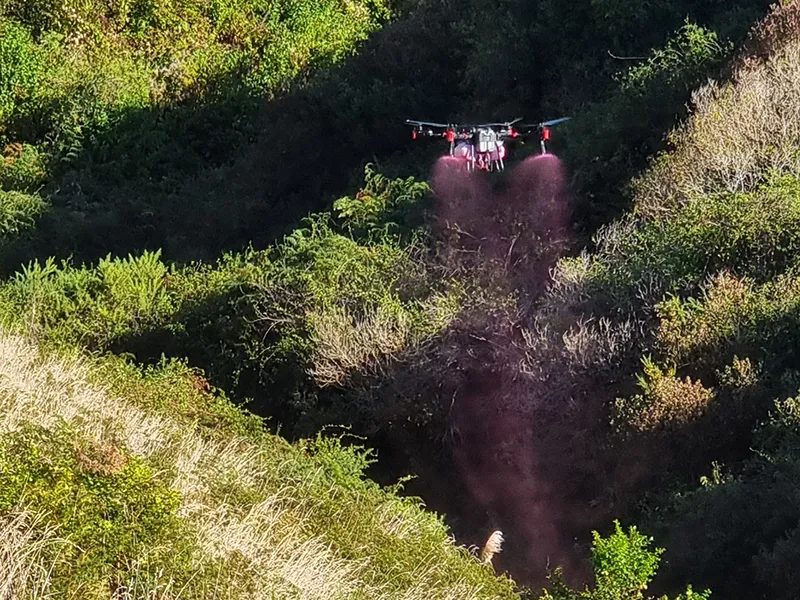 Tasman Drone Services photo 3