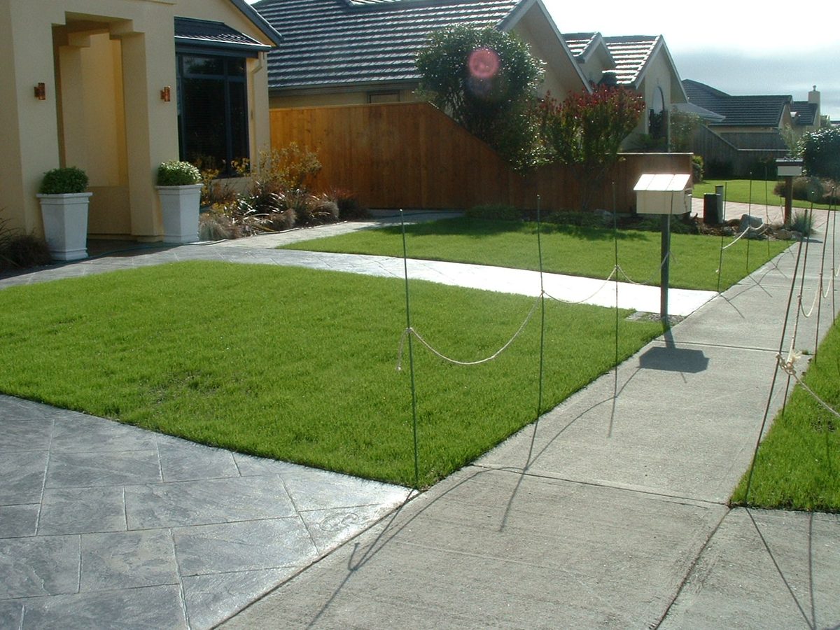 Tasman Turf photo 3