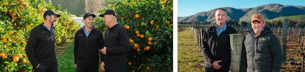 TasmanCrop photo 2