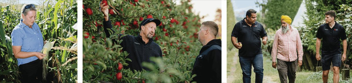 TasmanCrop photo 3