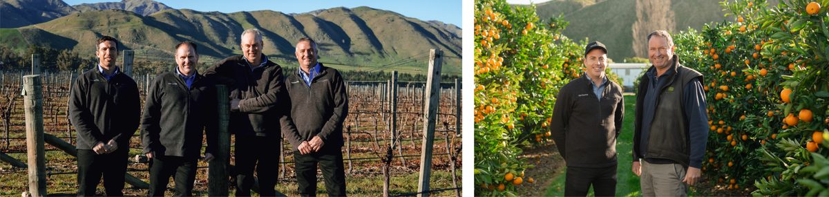 TasmanCrop photo 2