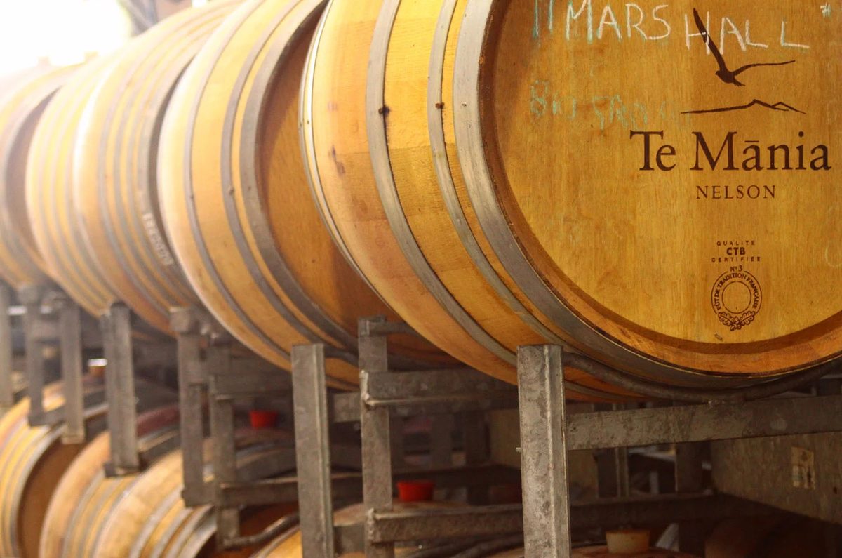 Te Mania Wines photo 1