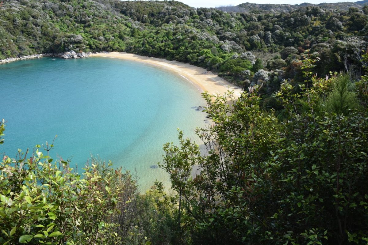 Te Pukatea Campsite photo 1