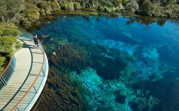 Te Waikoropupu Springs