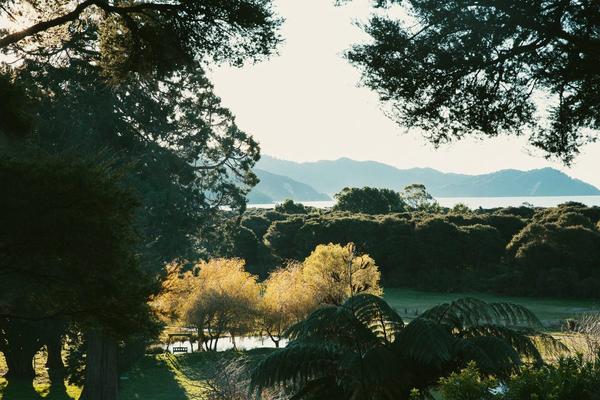 The Farm Awaroa
