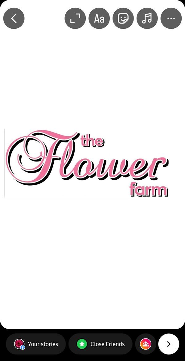The Flower Farm