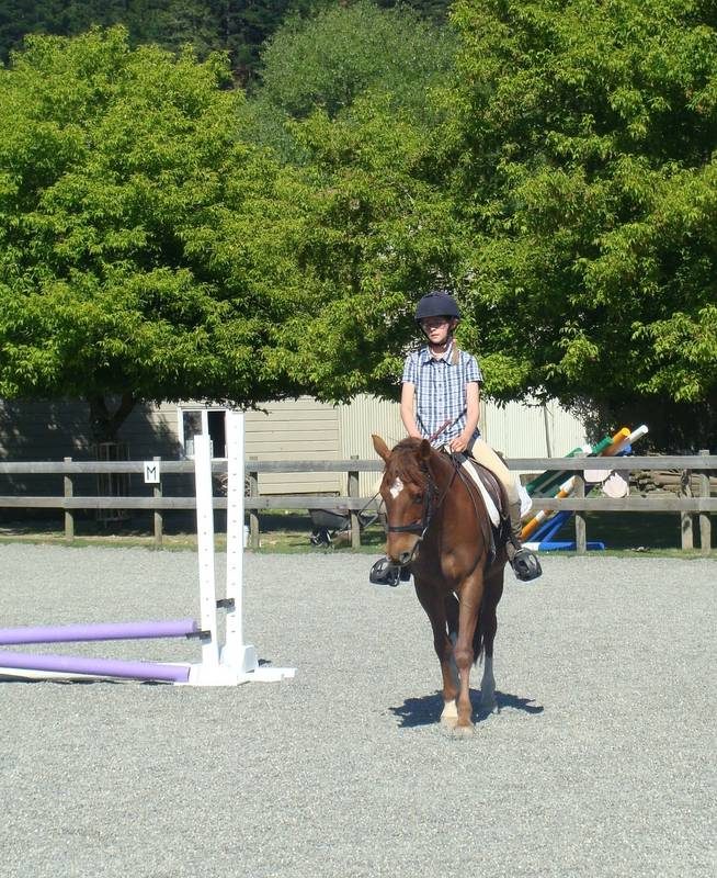 The Giggling Pony photo 2