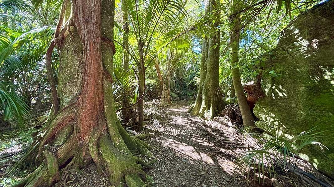 The Grove Scenic Reserve photo 1