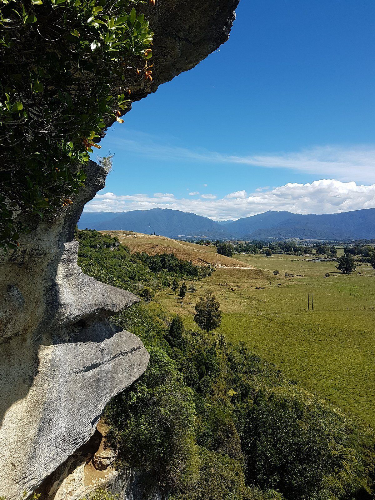The Grove Scenic Reserve photo 3