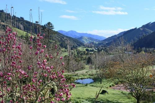The Havens, Motueka River Valley