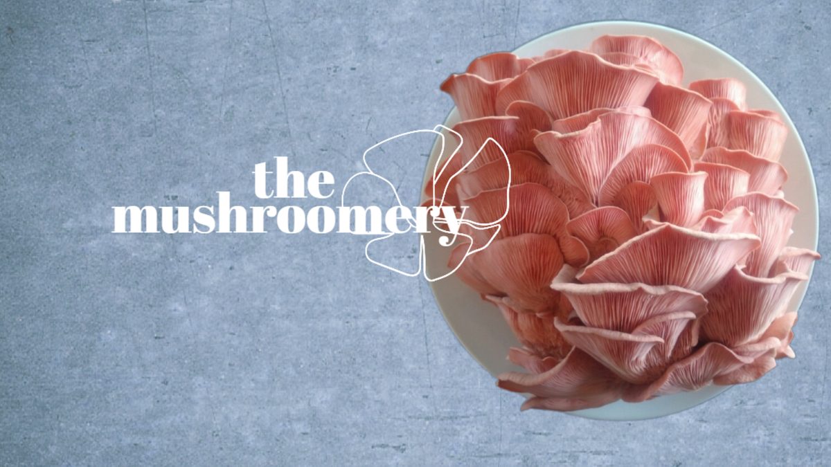 the mushroomery photo 1