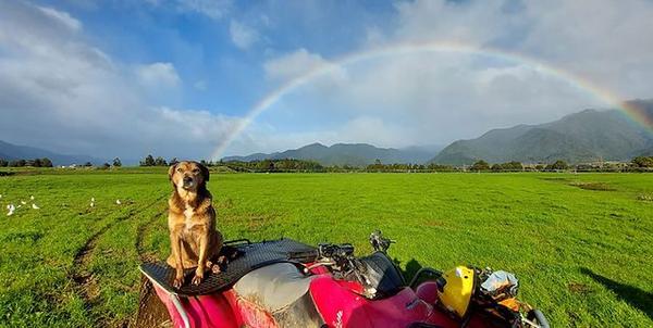 The Rural Service Centre Vet Clinic and Country Store Takaka