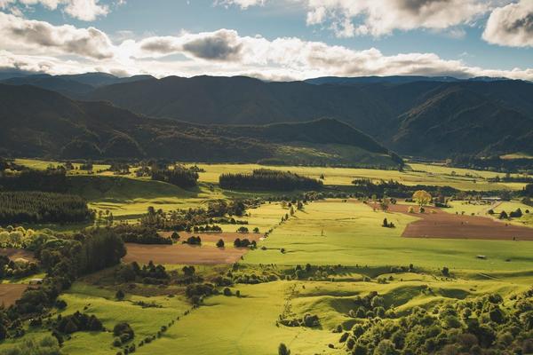 Toby Randall - Rural & Lifestyle Real Estate
