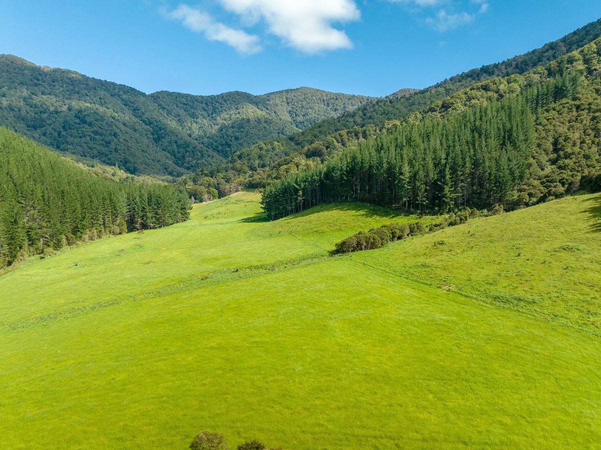 Toby Randall - Rural & Lifestyle Real Estate photo 3