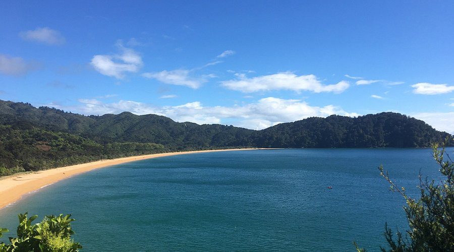 Totaranui Campground photo 2