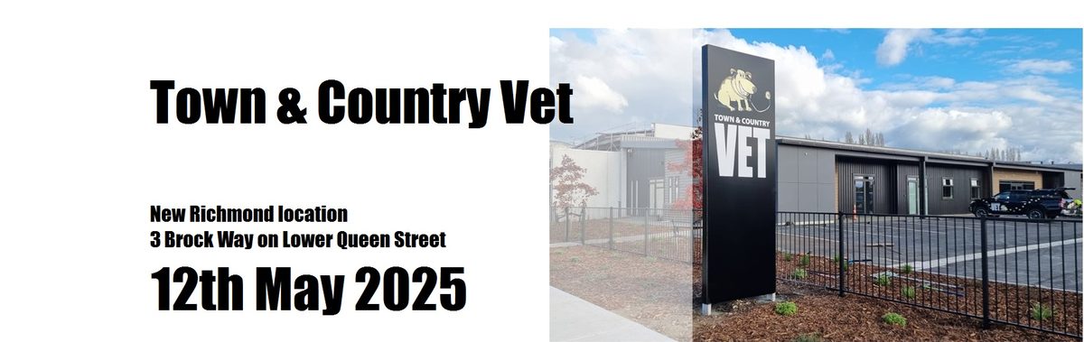 Town & Country Vet photo 1