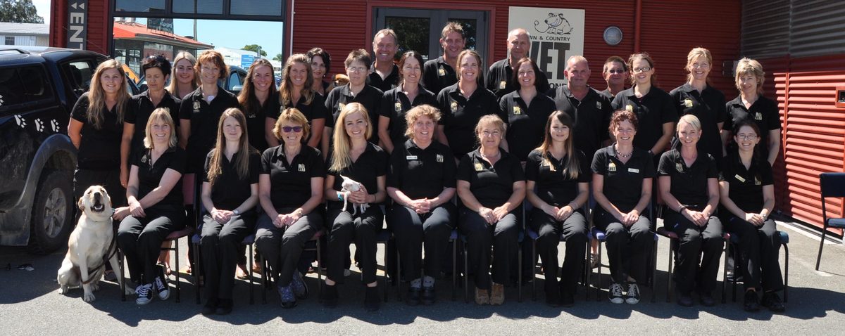 Town & Country Vet photo 3