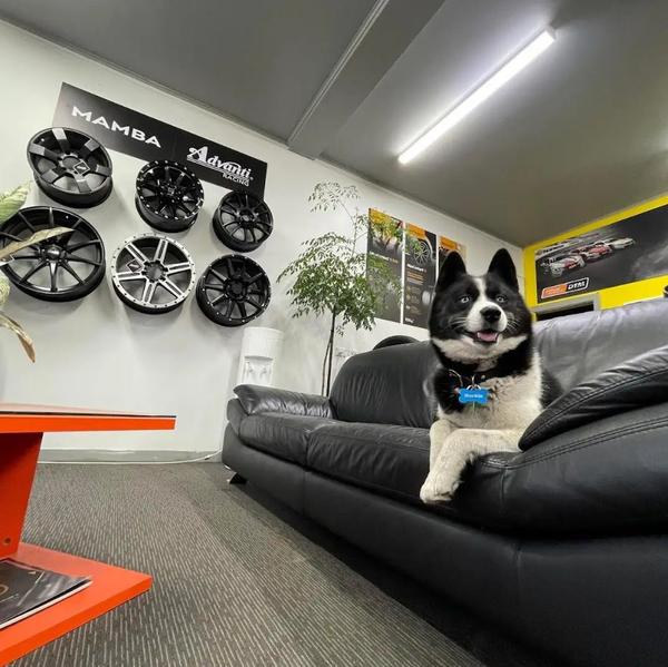 Tyreworld Richmond Nelson