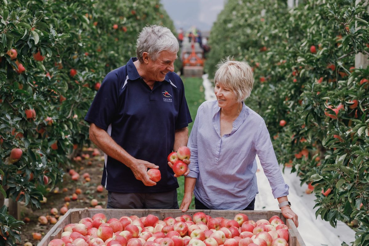 Vailima Orchard photo 1